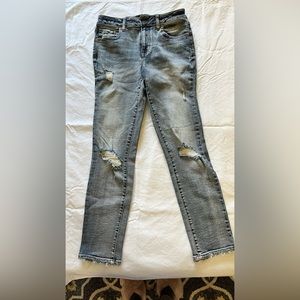 Maurice’s higher rise